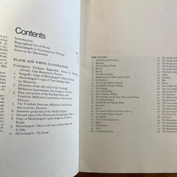 Vintage Softcover - Michelangelo, The Colour Library of Art Paperbacks - Picture 3 of 8